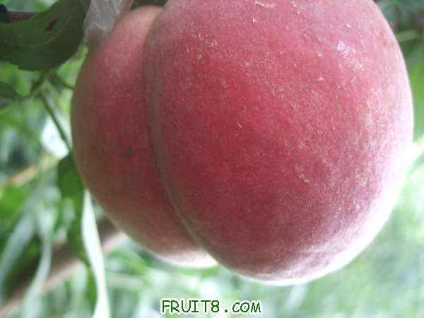8��26�յ���֮�� 003.jpg