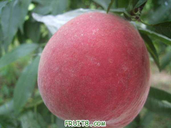 8��26�յ���֮�� 005.jpg