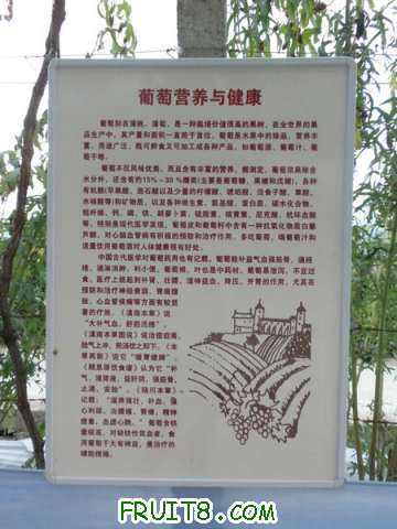 P8263443.JPG