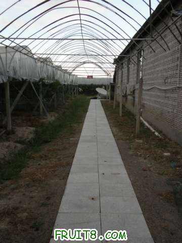 P8263420.JPG