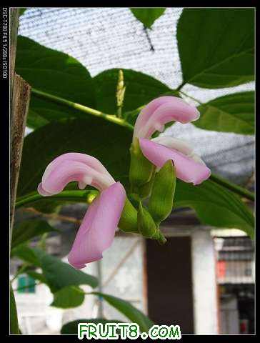 nEO_IMG_DSC01975.jpg