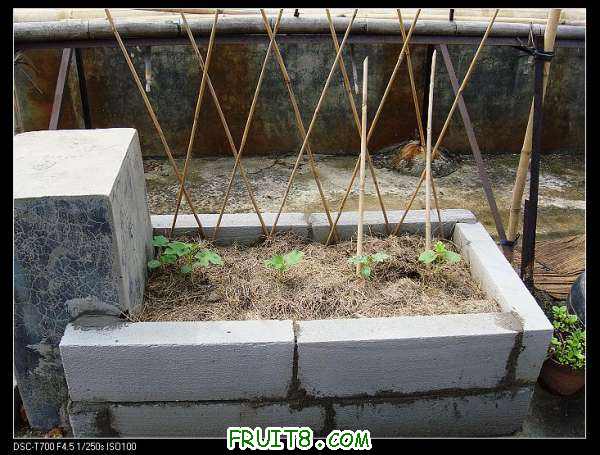 nEO_IMG_DSC01969.jpg