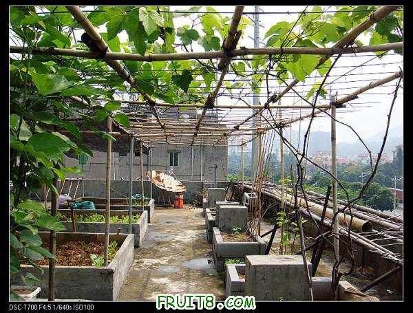 nEO_IMG_DSC01987.jpg
