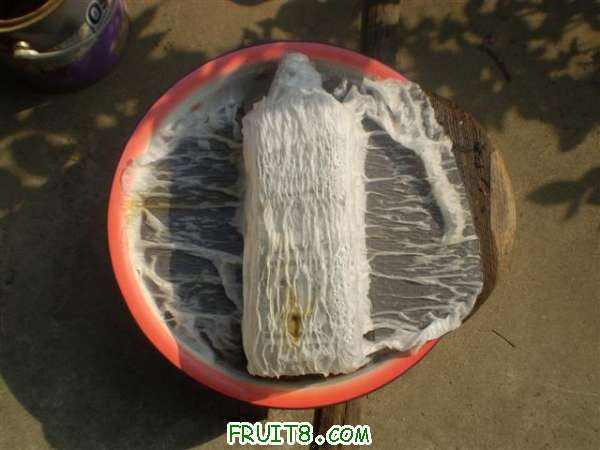 P8280001 (С��).JPG