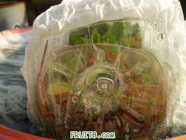 P8280002 (С��).JPG