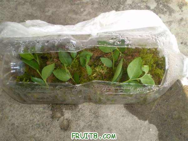 P8280004 (С��).JPG