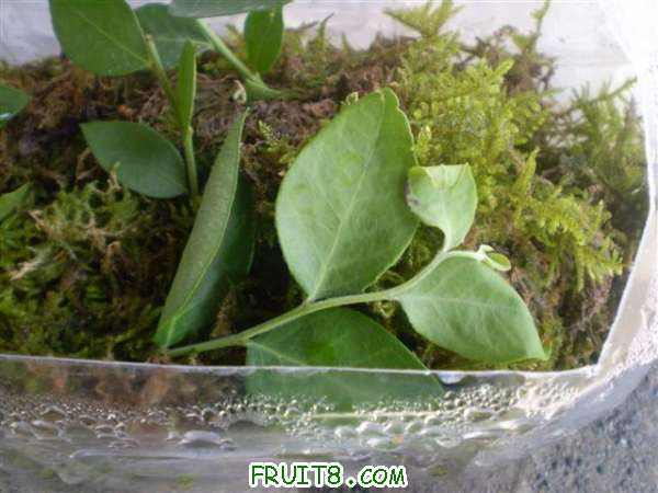 P8280006 (С��).JPG