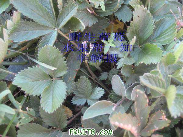 IMG_0076666.jpg