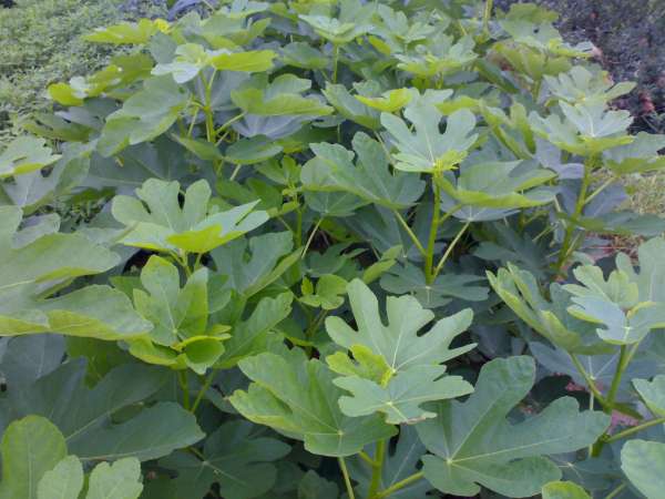 20100901570.jpg