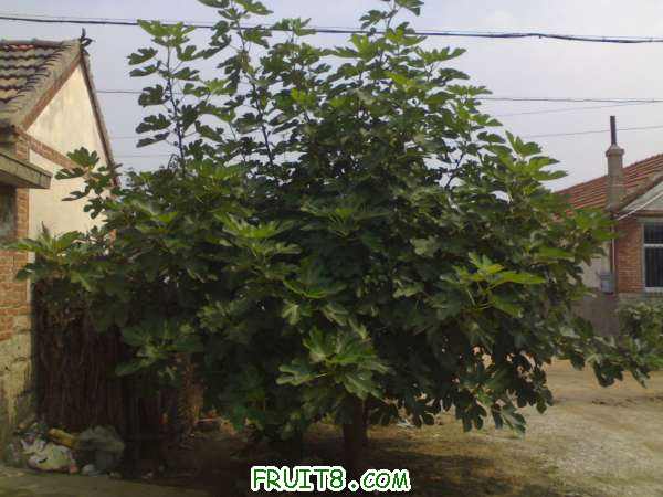 20100831557.jpg