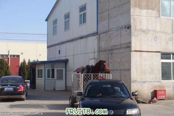 20081113_d84b9bfcbda1b387eaf6OsGWLiJqHE6j.jpg