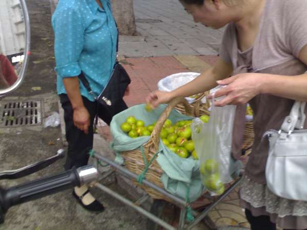20100904603.jpg