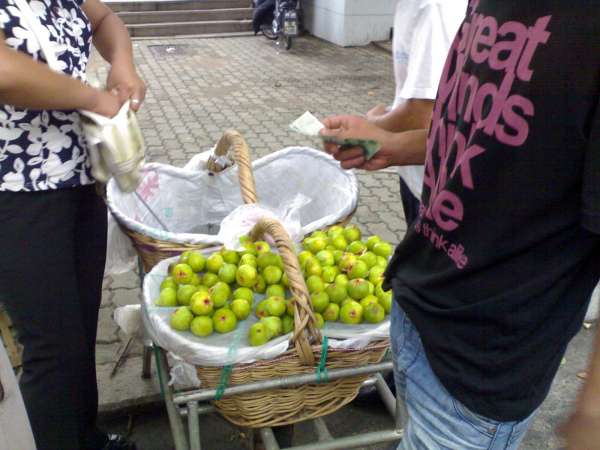 20100904605.jpg