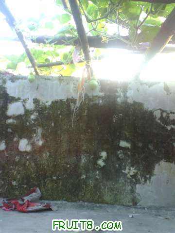 img028.jpg