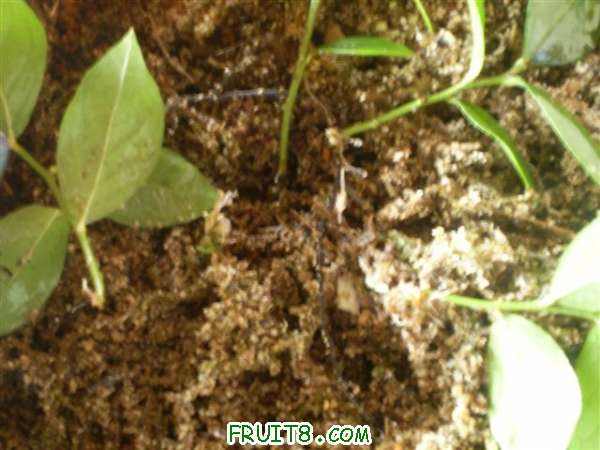 P9060007 (С��).JPG