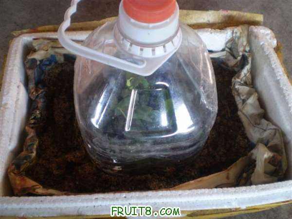 P9060001 (С��).JPG