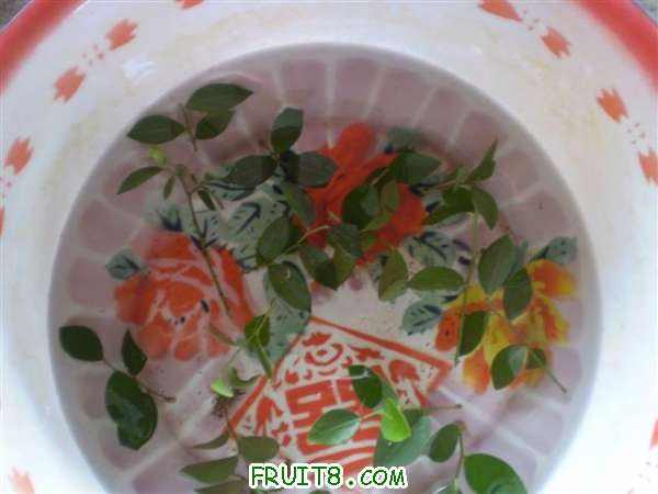 P9060004 (С��).JPG