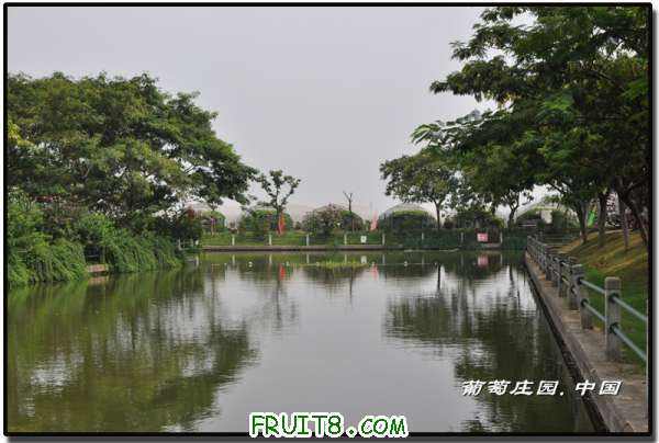 DSC_3588.jpg