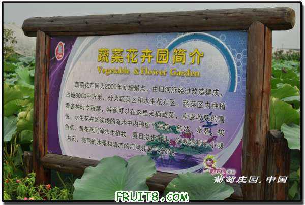DSC_3633.jpg