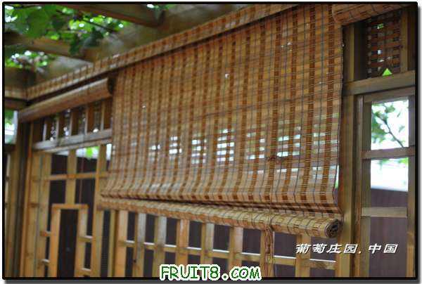 DSC_3671.jpg