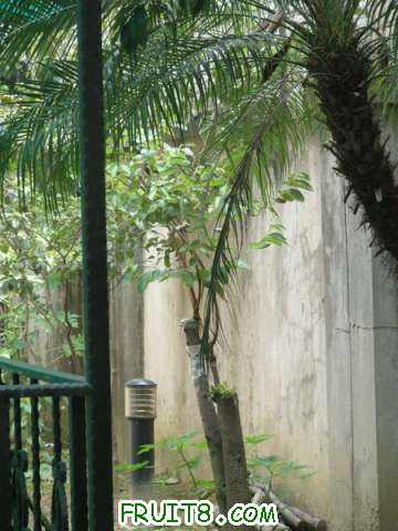 P9074916.JPG