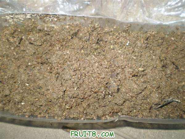 P9070005 (С��).JPG