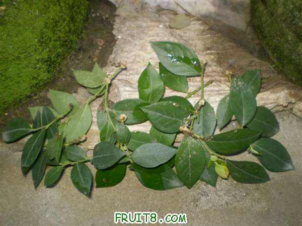 P9070003 (С��).JPG