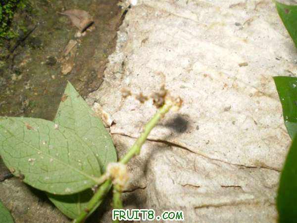 P9070004 (С��).JPG