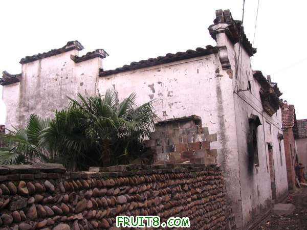IMG_0043   yeye.JPG