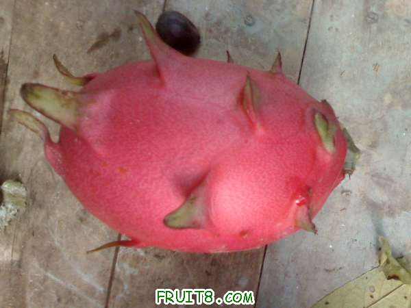 IMG0830182701.jpg