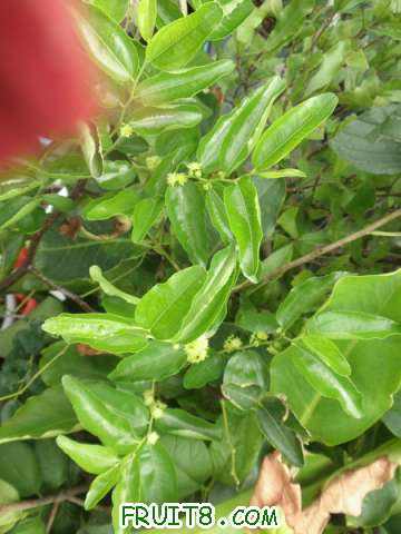 P9125436.JPG