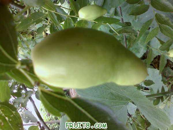 IMG0828085902.jpg