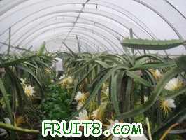 DSC05913_��С��С.JPG