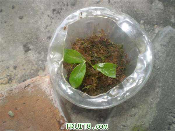 P9140004 (С��).JPG