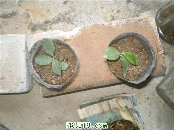 P9140003 (С��).JPG