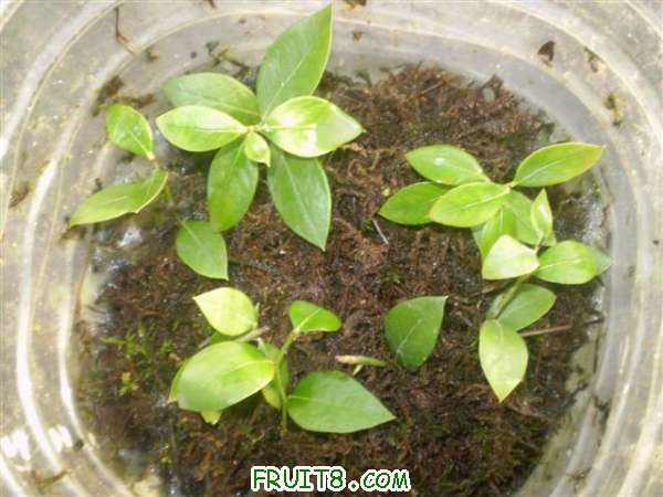 P9140006 (С��).JPG