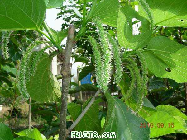 DSCN3901.JPG
