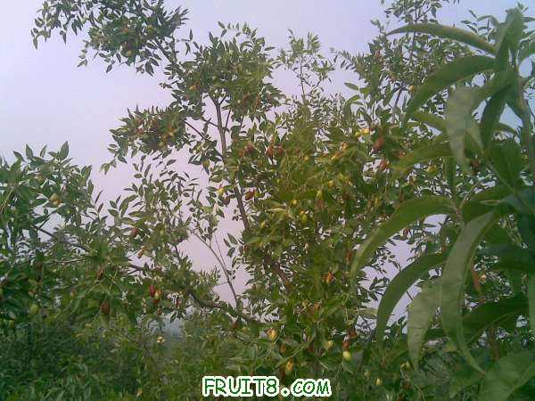 20100915.jpg