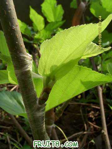 ������С SI858425.JPG