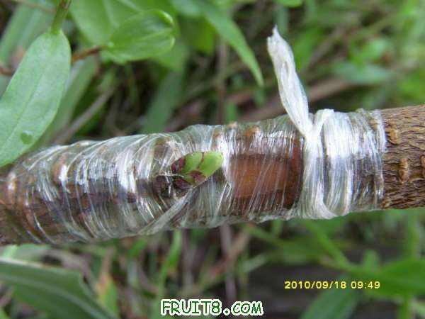 ������С SI858445.JPG