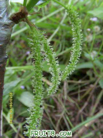 ������С SI858444.JPG