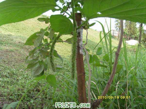 ������С SI858452.JPG