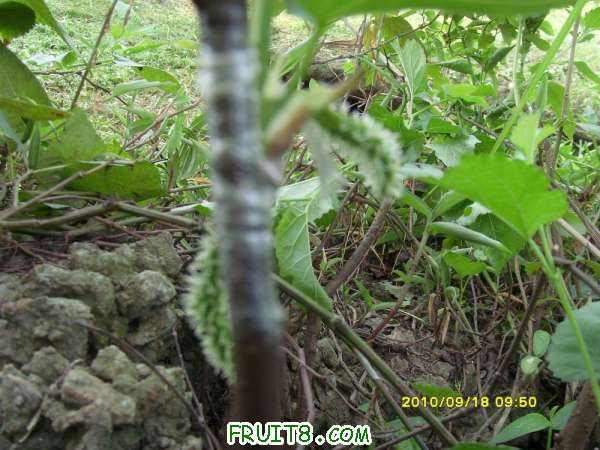 ������С SI858448.JPG