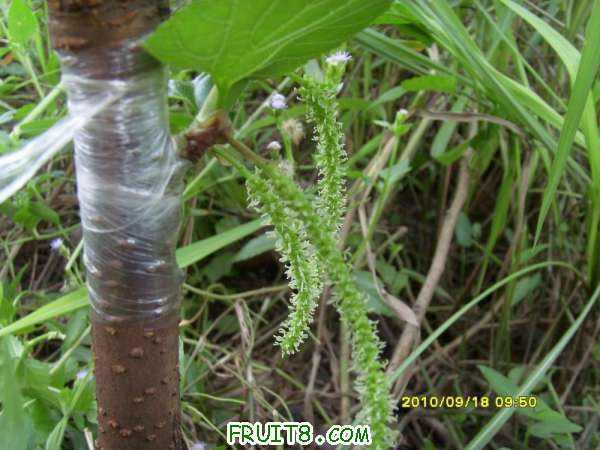 ������С SI858449.JPG