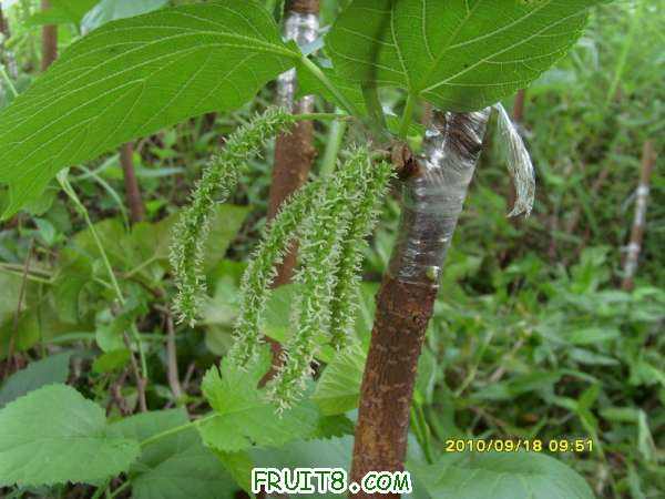 ������С SI858450.JPG