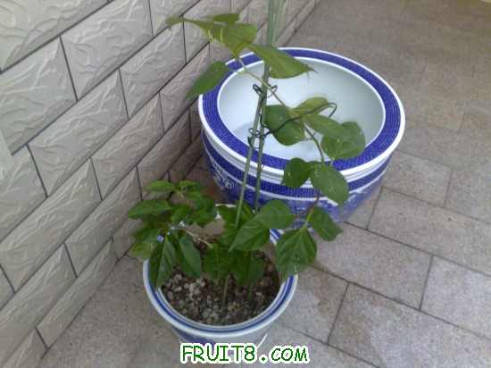 201009192023m.jpg