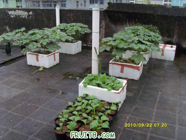 С SI858525.JPG