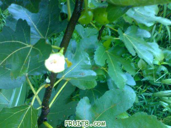 20100922051.jpg