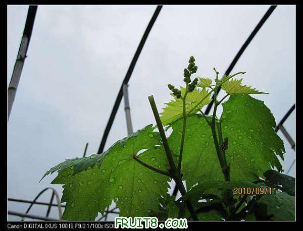 nEO_IMG_IMG_1048.jpg