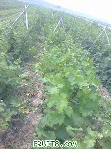 IMG0622102001.jpg